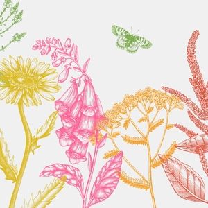 Shorts, Pants and Leggings